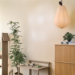 Pære loftlampe i natur fra Ferm Living