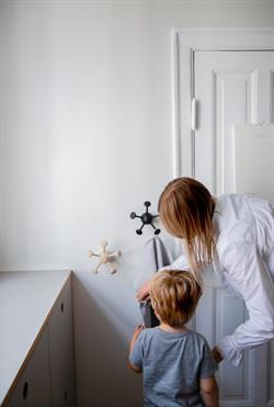 Knage Wall Bug i aske træ fra Nofred